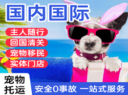 威海航空空运国际宠物托运 【国